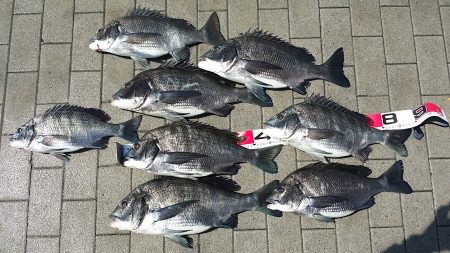 今日は3人でチヌ釣り！