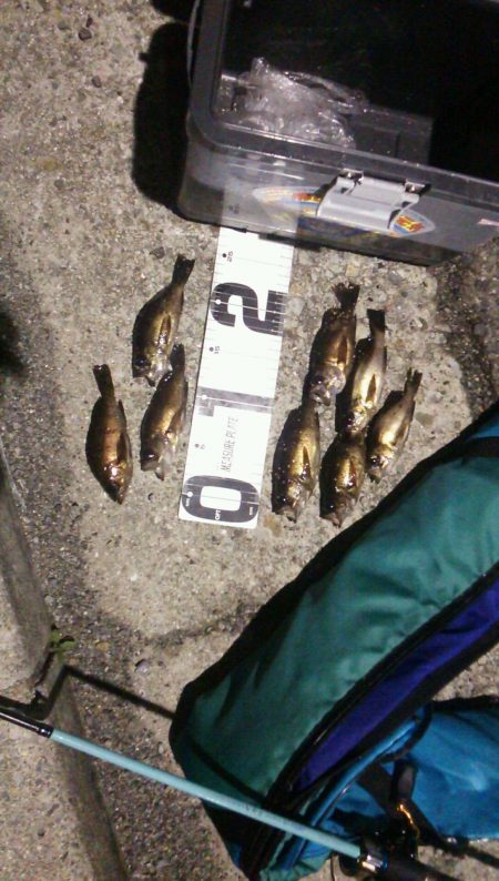 最近は小さいです