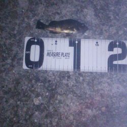 一時間フィッシング