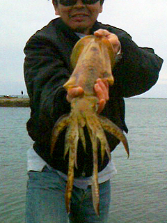 天神崎にて　エギングで926g乗りました！…