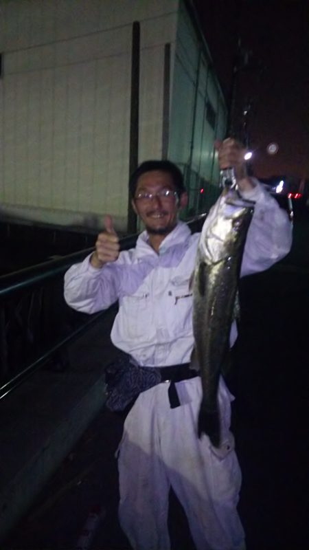 連日で記録更新♪