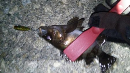 ランガンプラッキング!!