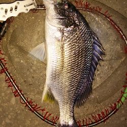 少しずつ上向いてる感じです。