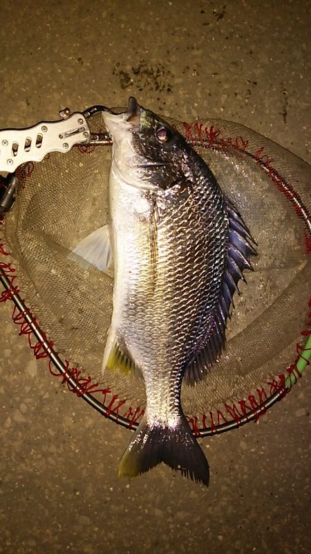 少しずつ上向いてる感じです。