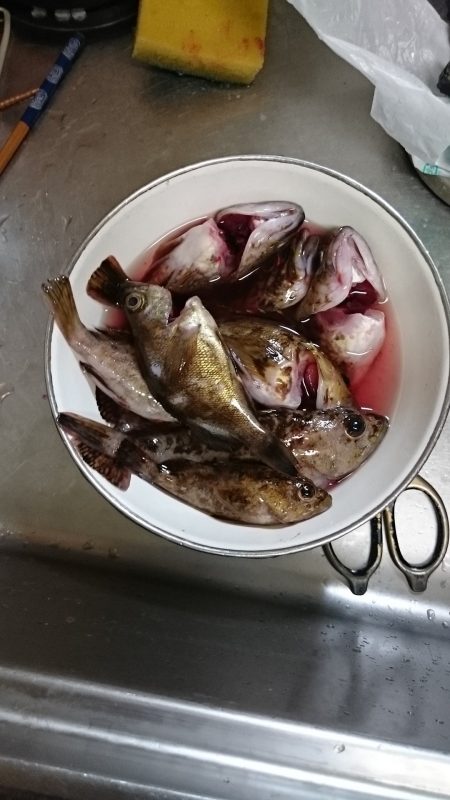 助松埠頭　ガシラ祭り