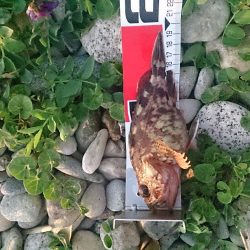 リベンジかなぁ！？