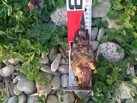 リベンジかなぁ！？