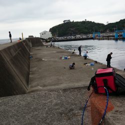 田ノ浦 エギング&ジギング時々サビキ