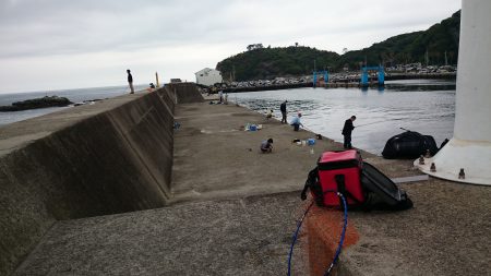 田ノ浦 エギング&ジギング時々サビ…