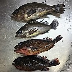 思いの外むずかしい。