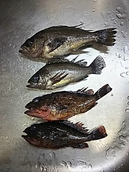 思いの外むずかしい。