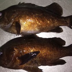 神明間でフロート修行