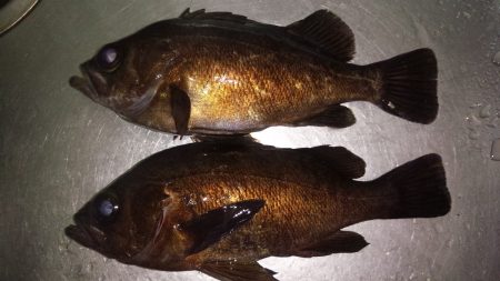 神明間でフロート修行