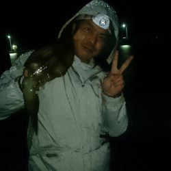 雨の中のアオリイカ