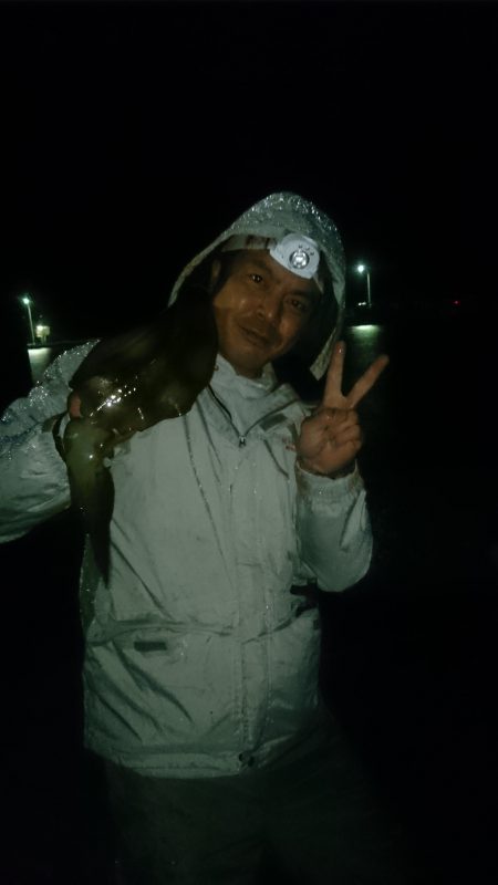 雨の中のアオリイカ