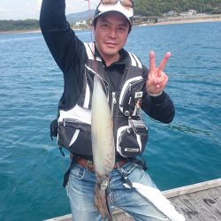 2㌔オーバーのアオリイカ❗