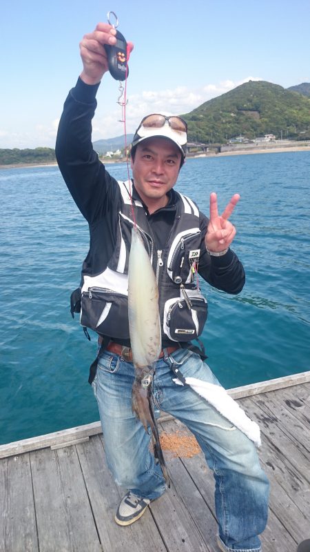 2㌔オーバーのアオリイカ❗