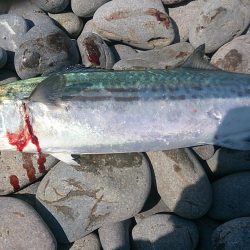 地引き網パターン