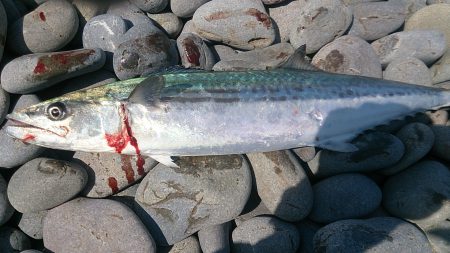 地引き網パターン