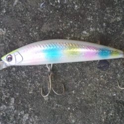 リベンジ釣行！！