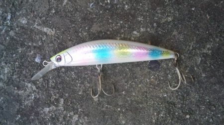 リベンジ釣行！！