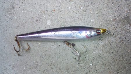 河口にてルアー釣り