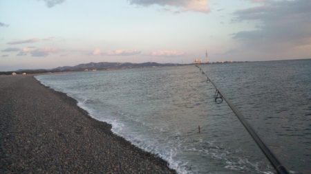 久々に釣れました　煙樹ヶ浜のメジロ