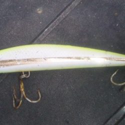 濁りがでたので！！