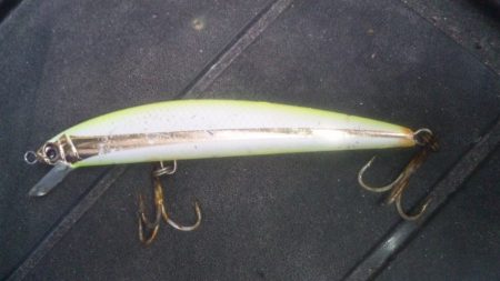 濁りがでたので！！