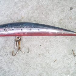 河口にてルアー釣り