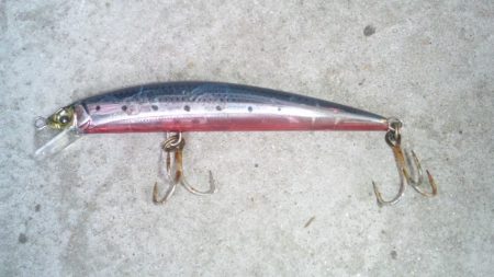 河口にてルアー釣り