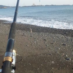 久々に釣れました