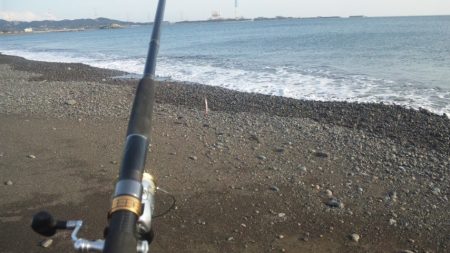 久々に釣れました