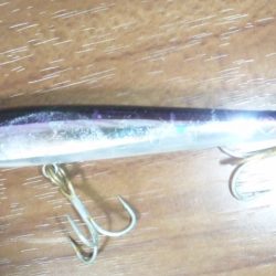 河口の濁りの中で