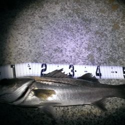 そろそろシーズン♪♪