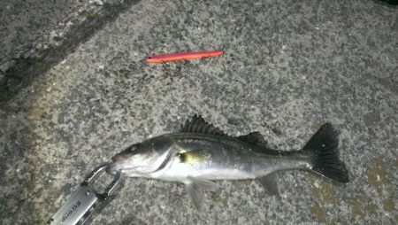 短いジアイ……