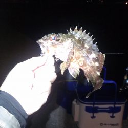 真夜中釣行