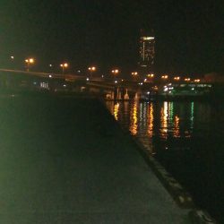 メバリング釣行はポロリ連発