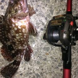 かろうじてボウズ逃れ