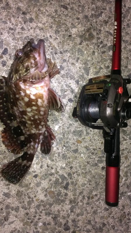 かろうじてボウズ逃れ