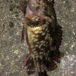 仇は討てぬままに夜は明けて