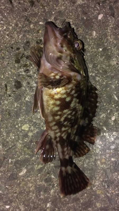 仇は討てぬままに夜は明けて