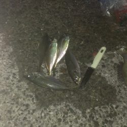 水温も暖かいね。