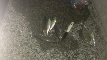 水温も暖かいね。