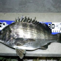 イイ感じの1日でした♪