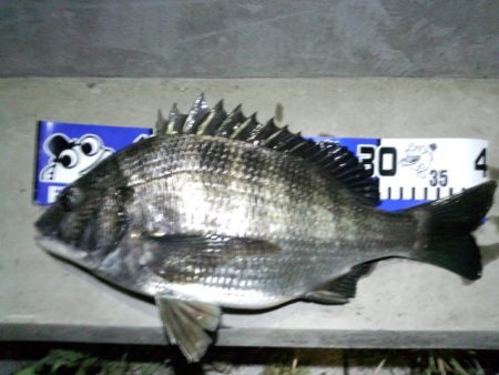 イイ感じの1日でした♪