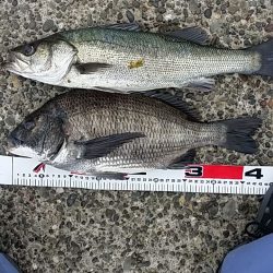 久しぶりの弟との釣行