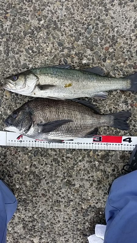 久しぶりの弟との釣行