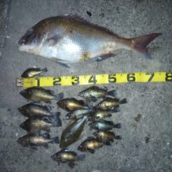 千守でミラクル