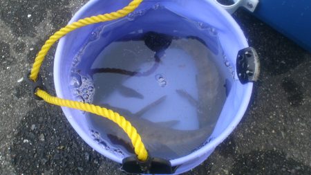 アミパターンをドリフトで攻略